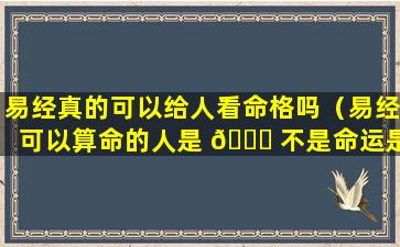 易经真的可以给人看命格吗（易经可以算命的人是 🐅 不是命运是注定的）